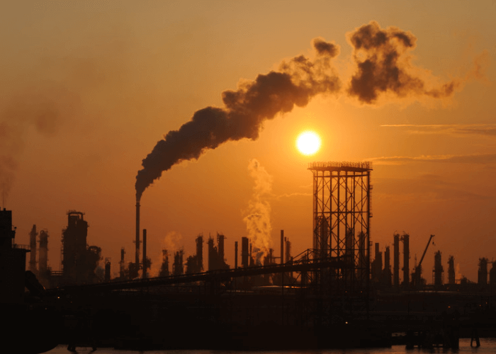 Ekosistem Industri Bambu Nasional Harus Dikembangkan