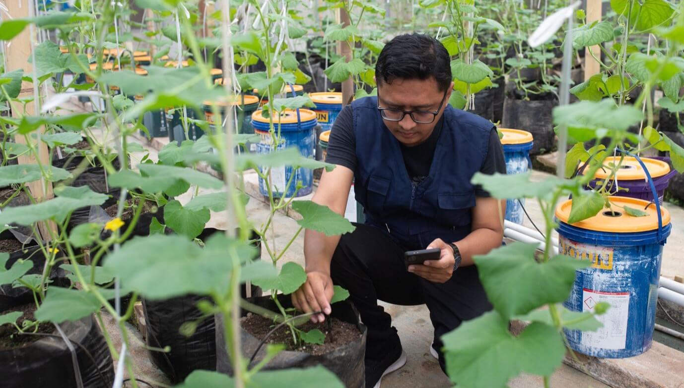Pertanian Terpadu Berbasis Teknologi‎ ala Umah Tani di Kota Serang